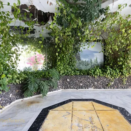 Apartment Estudio Caridad San Miguel de Abona