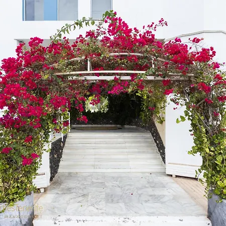 Estudio Caridad * San Miguel de Abona