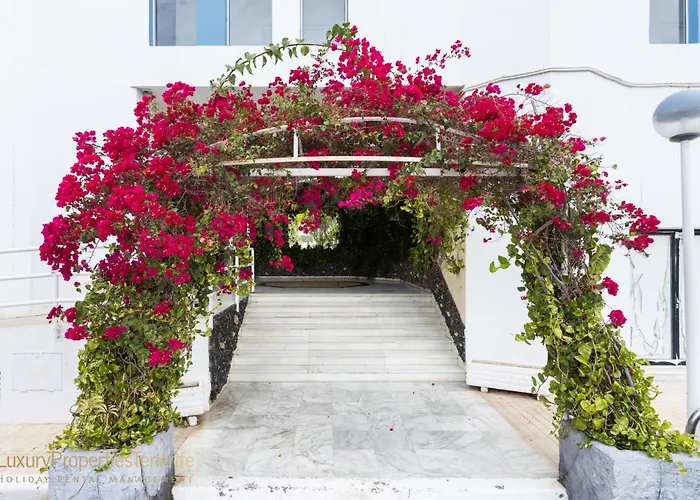 Estudio Caridad * San Miguel de Abona